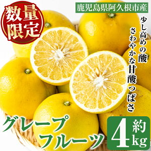 yӂ邳Ɣ[Łzs\tI2026N2ȍ~ʌIO[vt[c(4kg)Y ʎ ʕ t[c k fU[g Ԍy˖승kЁzakn070-04