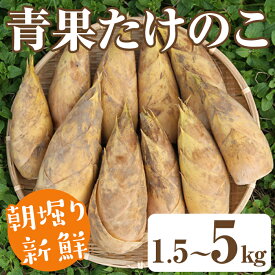 【ふるさと納税】＜先行予約受付中！2026年2月下旬以降順次発送予定＞＜内容量が選べる！＞朝堀り青果たけのこ(約1.5〜5kg) 国産 新鮮 タケノコ 青果 竹の子 筍 野菜 春 旬 期間限定【上野食品】