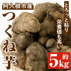 yӂ邳Ɣ[Łzs\tI2025N11ȍ~\聄ˈ(叒)(5kg)  vs ˈ 叒 a R Ƃyiʁzakn053-12