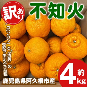 yӂ邳Ɣ[Łzs\tI2026N3{ȍ~\聄󂠂IIn͔|̕sm(4kg) Y sm ʂ k ʕ t[c fU[g In ʎ Ԍ ʌyÓc