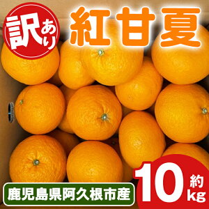yӂ邳Ɣ[Łzs\tI2026N2{ȍ~\聄󂠂IgÉ(10kg) Y gÉ k ʕ t[c fU[g ʎ Ԍ ʌyÓcʎzakn093-04