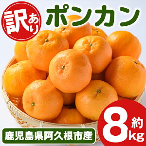 yӂ邳Ɣ[Łzs\tI2025N12{ȍ~\聄󂠂I|J(8kg) Y |J k ʕ t[c fU[g ʎ Ԍ ʌyÓcʎzakn093-05