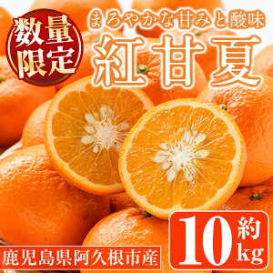 yӂ邳Ɣ[Łzs\tI2025N12{ȍ~\聄gÉ(10kg) Y ʕ t[c k Ԍy˖승kЁzakn070-08