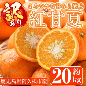 【ふるさと納税】＼高評価★4.32獲得！／訳あり紅甘夏(約20kg) 国産 鹿児島県 阿久根市 果実 果物 フルーツ 柑橘 紅甘夏 みかん ミカン 期間限定 数量限定【桐野柑橘株式会社】akn070-09