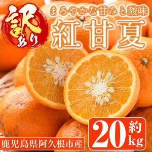 yӂ邳Ɣ[Łzs\tI2026N1{ȍ~\聄󂠂gÉ(20kg) Y ʕ t[c k Ԍ gÉāy˖승kЁzakn070-09