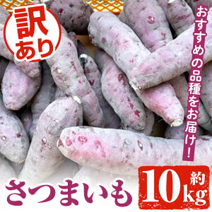 yӂ邳Ɣ[Łz󂠂I܂ (10kg)  vs ܈ Tc}C g͂邩 g VNXC[g A   Cyiʁzakn053-20
