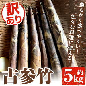 yӂ邳Ɣ[Łzs\tI2026N4{ȍ~\聄󂠂IÎQ|(5kg)  vs ÎQ| 񂾂 |̎q ^PmR ̂ VՂ uߕ } ϕ TC