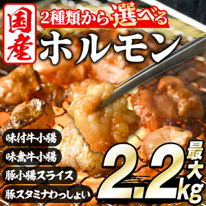 yӂ邳Ɣ[Łz_]4.90lI^Iׂ2큄z(×؃z4 v2.2kg/z2 v2kg) e Y  t pbN lߍ킹  c    