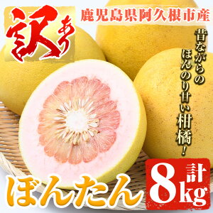 yӂ邳Ɣ[Łzs\tI2025N12{ȍ~\聄󂠂IvsY{^(v8kg)Y ڂ񂽂 U k ʕ t[cyiʁzakn053-02