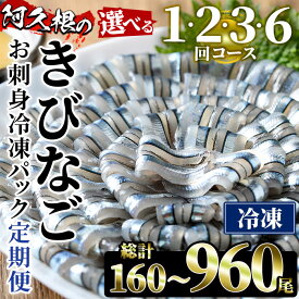 【ふるさと納税】＜配送回数が選べる！＞鹿児島県産！阿久根のきびなごお刺身セット(冷凍便・40尾×4P×1〜6回) 魚介類 海鮮 魚 きびなご キビナゴ 刺身 さしみ 刺し身 青魚 子魚 小分け 定期便【椎木水産】