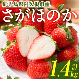 yӂ邳Ɣ[Łzs\tI2026N1ȍ~\聄Y  ق̂ (1.4kg) C`S  Y Y nEX͔| t[c fU[g ʕ  ʌ 