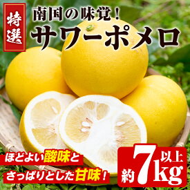 【ふるさと納税】＜先行予約受付中！2026年2月下旬以降発送予定＞数量限定！特選サワーポメロ(正味約7.0kg〜7.5kg・ L〜3Lサイズ13〜18個)国産 フルーツ 果物 柑橘類 サワーポメロ 甘味 酸味 デザート おやつ【なかむら果樹園】akn014-02