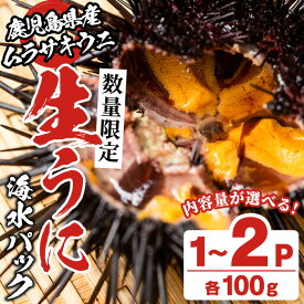 【ふるさと納税】＜先行予約受付中！2026年4月上旬以降順次発送予定＞＜内容量が選べる！＞生うに(ムラサキウニ)海水パックセット(100g×1〜2P) 国産 鹿児島県産 雲丹 ウニ うに 魚介 魚貝 海産物 海鮮丼 パック 小分け セット【尾塚水産】