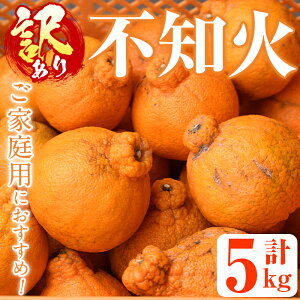 yӂ邳Ɣ[Łzs\tI2026N1{ȍ~󂠂Esׁ̈ʌInEXsm(5kg) Y ʕ t[c k Ԍy˖승kЁzakn070-12