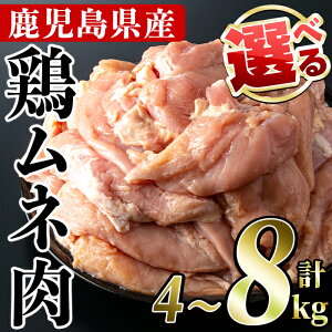 yӂ邳Ɣ[ŁzeʂIׂ遄YI{l(v4`8kg)Y  ނ˓ Ƃɂ g g \e[ { Ⓚ 疳 疳 wV[ T_`L _CGbg ^