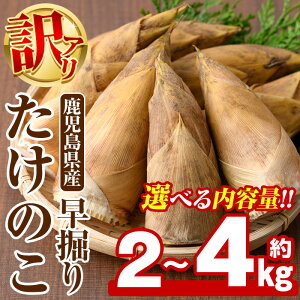 yӂ邳Ɣ[Łzs\tI2025N11ȍ~\聄eʂIׂ遄󂠂IY @肽̂(2kg`4kg) Y  ̂ ^PmR  { ϕ  VՂ 