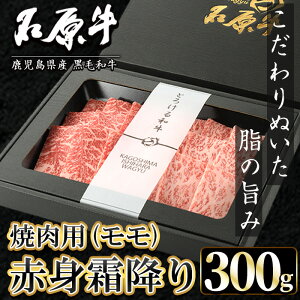 yӂ邳Ɣ[ŁzΌ Ԑg~胂 ēp(300g) јa Y BY Y  uh ē BBQ a ~ Ԑg Nu Ⓚ ґ ґȈi p Mtgp y
