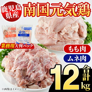 yӂ邳Ɣ[ŁzYI썑C{ Ɩp+lZbg(v12kg) Y Y {   l ނ˓    썑C{ Ɩp 唻pbN  