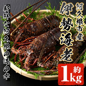 yӂ邳Ɣ[Łzs\tI2025N10ȍ~\聄ɐCV(1kg) Y vs ɐCV CV Gr  CZGr CN CY C̍K hg VN }Ⓚyiʁzakn053-