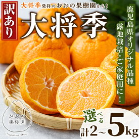 【ふるさと納税】＜先行予約受付中！2026年3月中旬以降順次発送予定＞＜容量が選べる！＞数量限定！訳あり・ご家庭用！おおの果樹園の「大将季」(計2〜5kg) 訳あり 訳アリ 果物 フルーツ 果実 柑橘 露地栽培 家庭用 無加温 みかん【おおの果樹園】