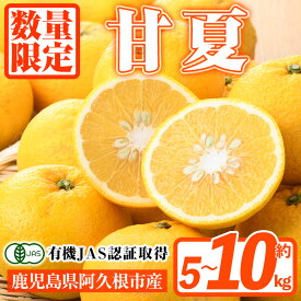 【ふるさと納税】＜先行予約受付中！2026年2月上旬以降発送予定＞＜容量が選べる＞数量限定！有機JAS 甘夏(約5〜10kg) 国産 果実 果物 フルーツ 柑橘 デザート 期間限定 有機栽培【中村農場】