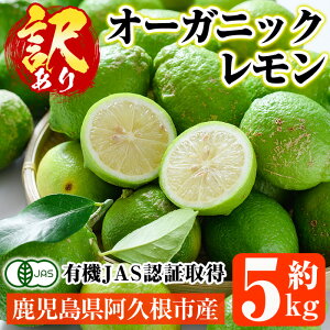 yӂ邳Ɣ[ŁzʌIL@JAS 󂠂I[KjbN(5kg) Y 󂠂  EG ʎ ʕ t[c k fU[g Ԍ L@͔| Nuy_zakn084-02