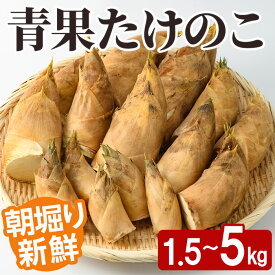 【ふるさと納税】＜先行予約受付中！2027年2月下旬以降順次発送予定＞ ＜内容量が選べる！＞ 朝堀り 青果 たけのこ (約1.5〜5kg) 国産 新鮮 タケノコ 青果 竹の子 筍 野菜 春 旬 期間限定 数量限定 【上野食品】