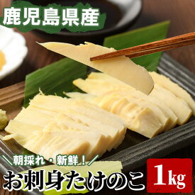 【ふるさと納税】＜先行予約受付中！2027年3月上旬以降順次発送予定＞お刺身たけのこ(計1kg) 国産 鹿児島県産 朝採れ タケノコ 竹の子 筍 真空パック 野菜 春 旬【上野食品】