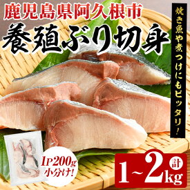 【ふるさと納税】＜内容量が選べる！＞養殖ぶり切身(約1～2kg) 鹿児島県 阿久根市 ブリ ぶり 鰤 魚貝 魚介 海産物 切身 切り身 煮物 煮つけ 焼き魚 おかず おつまみ 小分け【さるがく水産】