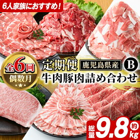 【ふるさと納税】＜定期便・全6回(偶数月)＞6人家族用！鹿児島県産 牛肉・豚肉 詰め合わせ B (総量9.8kg) 国産 黒豚 しゃぶしゃぶ 肩 ロース スライス 訳あり 切り落とし 黒毛和牛 サーロイン ステーキ 黒豚 バラ カタ ウデ 小分け セット 【スターゼン】akn042-38