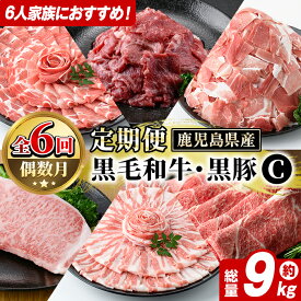 【ふるさと納税】＜定期便・全6回(偶数月)＞6人家族用！鹿児島県産 黒毛和牛・黒豚 定期便 C (総量約9kg) 国産 黒豚 しゃぶしゃぶ 肩 ロース スライス 訳あり 切り落とし 黒毛和牛 サーロイン ステーキ 黒豚 バラ カタ ウデ 小分け セット 【スターゼン】akn042-39