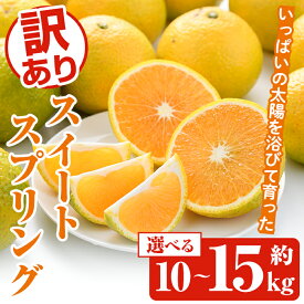 【ふるさと納税】＜内容量が選べる！＞訳ありスイートスプリング(約10～15kg) 鹿児島県 阿久根市 フルーツ 果物 デザート 柑橘 甘味 果肉 果汁【松永青果】