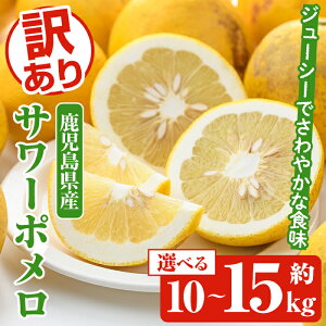 yӂ邳Ɣ[Łzs\tI2026N1ȍ~\聄eʂIׂI󂠂T[|(10`15kg) Y ʕ t[c k Ö _ fU[g yiʁz