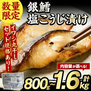 yӂ邳Ɣ[ŁzeʂIׂILЂ(v800g`1.6kg)  ^  ܂ y Ћ Ђ Ђ s[g  CY Ⓚ Hi H M ʌ