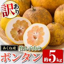 楽天市場】文旦 訳あり 5kgの通販