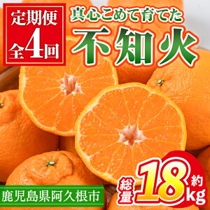 yӂ邳Ɣ[ŁzցES4(12E1E2E3)Ysm΂܂(ʖ18kg) Y ʕ t[c k { ʂ  Еz VkC ʌ Ԍ vsY