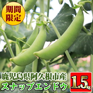 yӂ邳Ɣ[Łzs\tI2026N1{ȍ~\聄ʌIvsYXibvGhE (1.5kg) T_Xibv Y Y vsY ǂ   