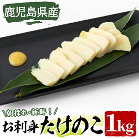 【ふるさと納税】＜先行予約受付中！2026年3月上旬以降順次発送予定＞お刺身たけのこ(計1kg) 国産 鹿児島県産 朝採れ タケノコ 竹の子 筍 真空パック 野菜 春 旬【上野食品】