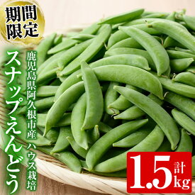 【ふるさと納税】＜先行予約受付中！2027年1月上旬以降順次発送予定＞ 期間限定！スナップえんどう (計1.5kg) 国産 鹿児島県産 ハウス栽培 野菜 豆 スナックエンドウ 【東新グリーンファーム合同会社】akn062-02