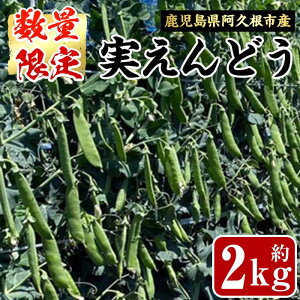 �y�ӂ邳�Ɣ[�Łz����s�\���t���I2026�N4����{�ȍ~���������\�聄���������Y�I���v���s�̎�����ǂ�(2kg) �{ ���Y �� �}�� ��� ���G���h�E �Z�b�g �l�ߍ��킹 ���ʌ��� ���Ԍ���y����