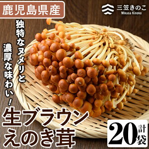 yӂ邳Ɣ[ŁzuÊ(20܁Ev3.6kg) Y Y vsY  GmL ̂  LmR  pX^ X[v  ①yO}̂Ygzakn010-09