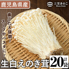 【ふるさと納税】生白えのき茸(20袋・計5kg)国産 エノキ きのこ キノコ 個包装【三笠えのき茸生産組合】a-12-221