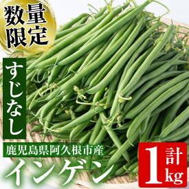 【ふるさと納税】鹿児島県産すじなしインゲン(1kg) 国産 野菜 青果 いんげん 旬 マメ 豆 まめ【東新グリーンファーム合同会社】a-10-32