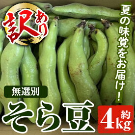 【ふるさと納税】＜先行予約受付中！2026年4月下旬以降順次発送予定＞訳あり！鹿児島県産 そら豆(約4kg) 国産 野菜 そら豆 ソラマメ おつまみ サラダ 炒め物 訳アリ サイズ混合 ソラ豆 鞘つき さやつき【松永青果】akn053-08