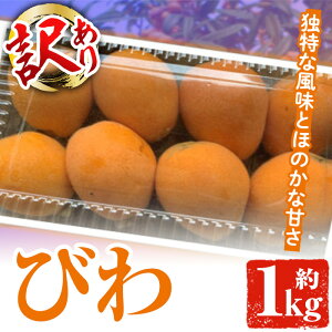 yӂ邳Ɣ[Łzs\tI2026N5{ȍ~\聄ʌI󂠂 т(1kg) vs t[c ʕ fU[g Ö _ ʓ ʏ`yiʁzakn053-10