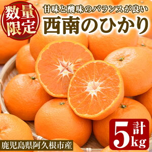 yӂ邳Ɣ[Łzs\tI2025N12ȍ~\聄ԁEʌ聄̂Ђ(5kg) Y  vs ʎ ʕ t[c k fU[g _ Öy˖승k