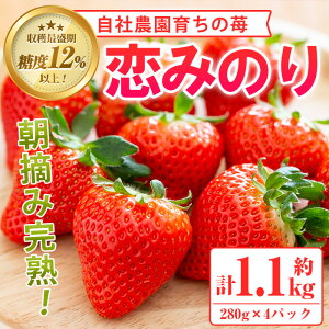 yӂ邳Ɣ[Łzs\tI2026N1ȍ~\聄_K[fY ݂̂Zbg(v1.1kgE280g×4P)Y C`S  t[c ʕ  嗱y_K[fzakn026-02