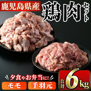 yӂ邳Ɣ[ŁzYIEHlߍ킹(v6kg)Y   { Ƃɂ g g \e[ { ⓀyX[p[悵zakn058-10