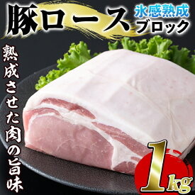 【ふるさと納税】氷感熟成豚ロースブロック(1kg) 肉 豚 豚肉 ロース ブロック ブロック肉 【スターゼン】a-16-14