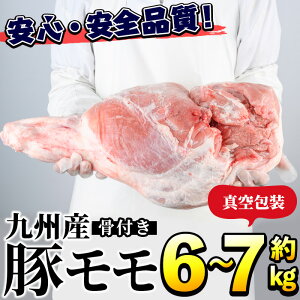 yӂ邳Ɣ[ŁzBYIt؃(6`7kg) Y ؓ t ؂  ubN ^ nH ۏĂyOzakn006-06